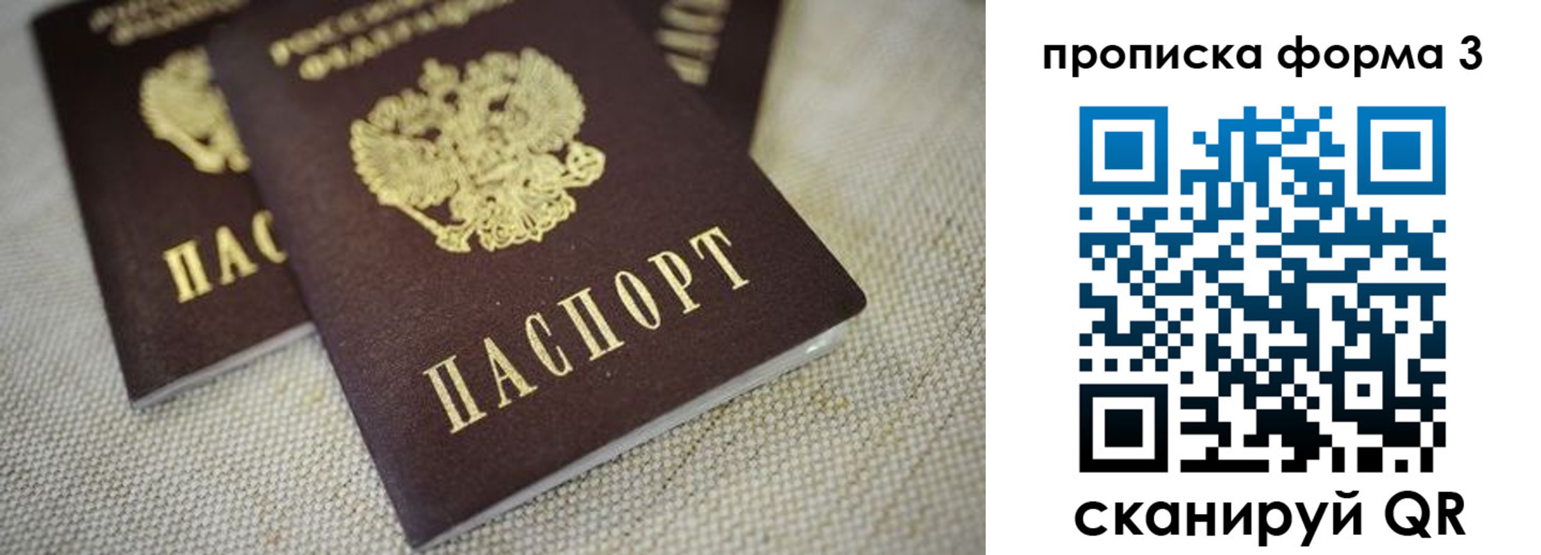 прописка поиск в Шарье